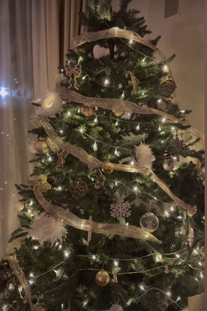 Imagini din casa Andreei Raicu, decorată de Crăciun. În sufragerie are bradul împodobit și șemineul pe care a așezat poze nemaivăzute
