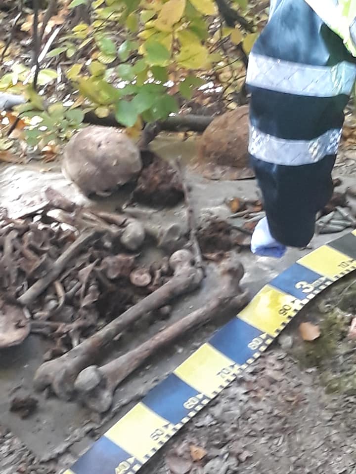Ce au găsit doi căutători de vestigii istorice într-o pădure din Vrancea. Au anunțat imediat Poliția