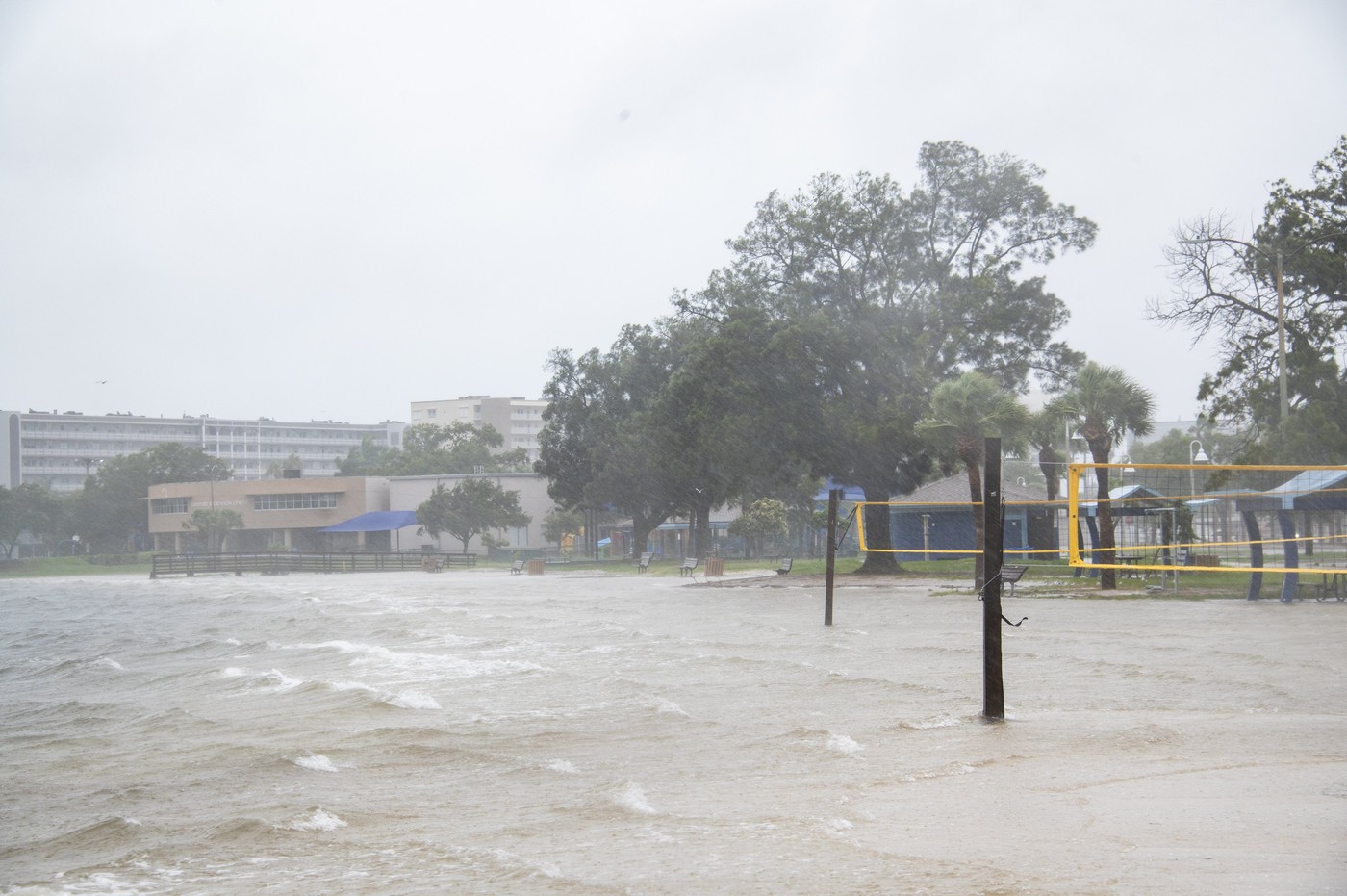 Stare de urgență și ordine de evacuare în Florida, înaintea furtunii tropicale Debby: „Luați situația în serios!”. FOTO
