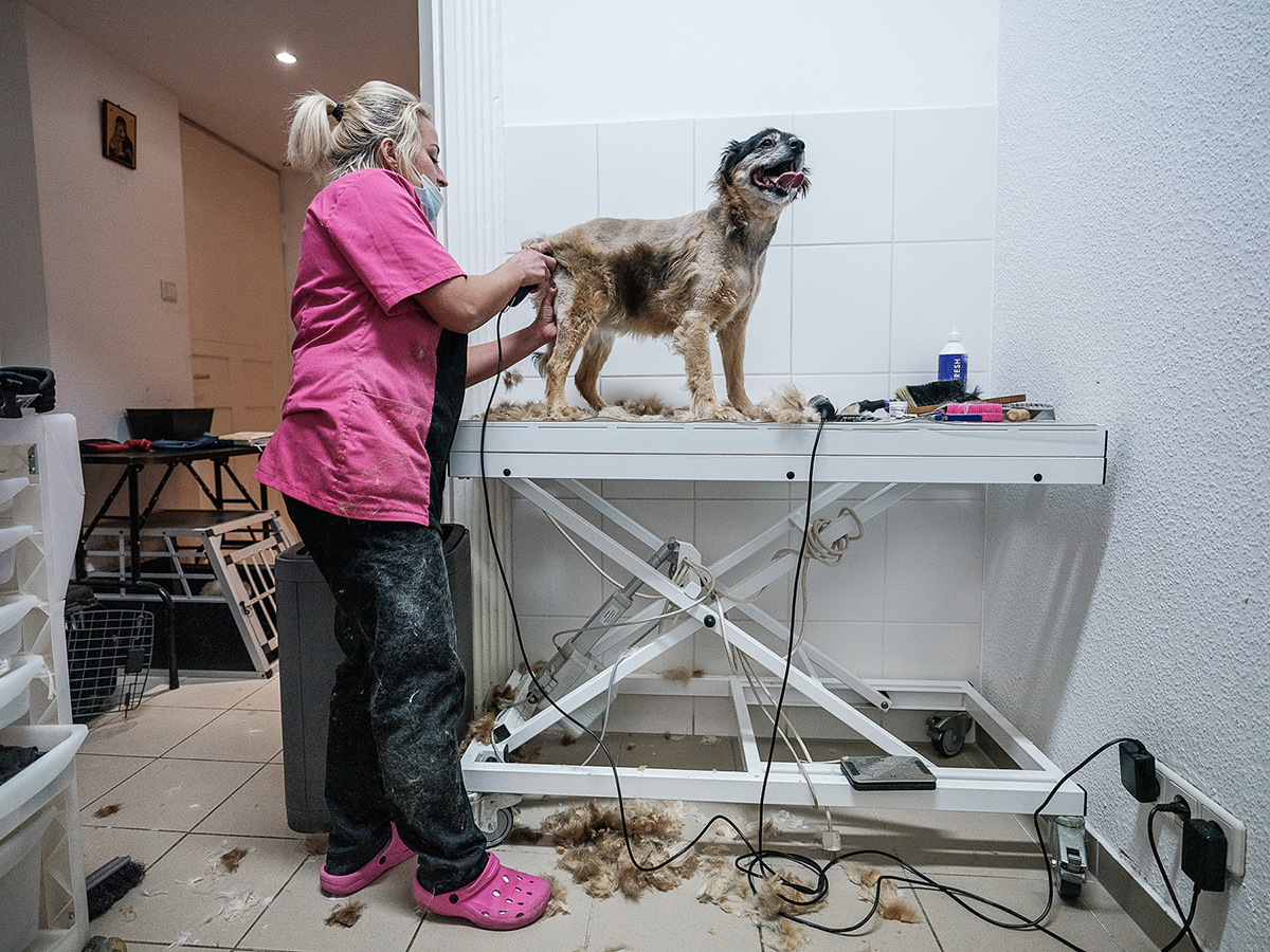REPORTAJ. Cum i-a sprijinit statul german pe doi români să-și păstreze afacerea în pandemie. „Ei sunt copiii Europei”