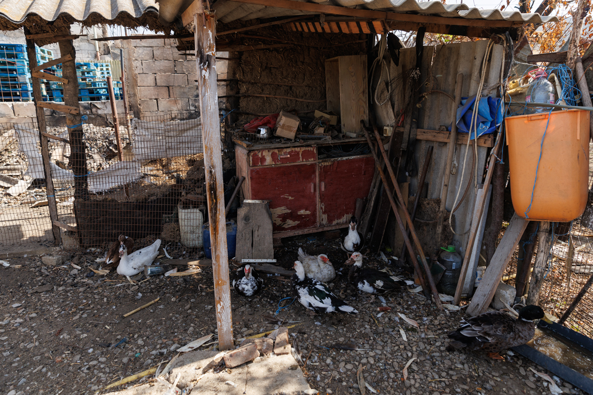 REPORTAJ. Crevedia, o lună după explozii. Și-a plâns caprele care au murit în suferință, iar acum, la 76 de ani, se acomodează cu viața în container: „E ca-n paradis, nu cade tavanul pe mine!”