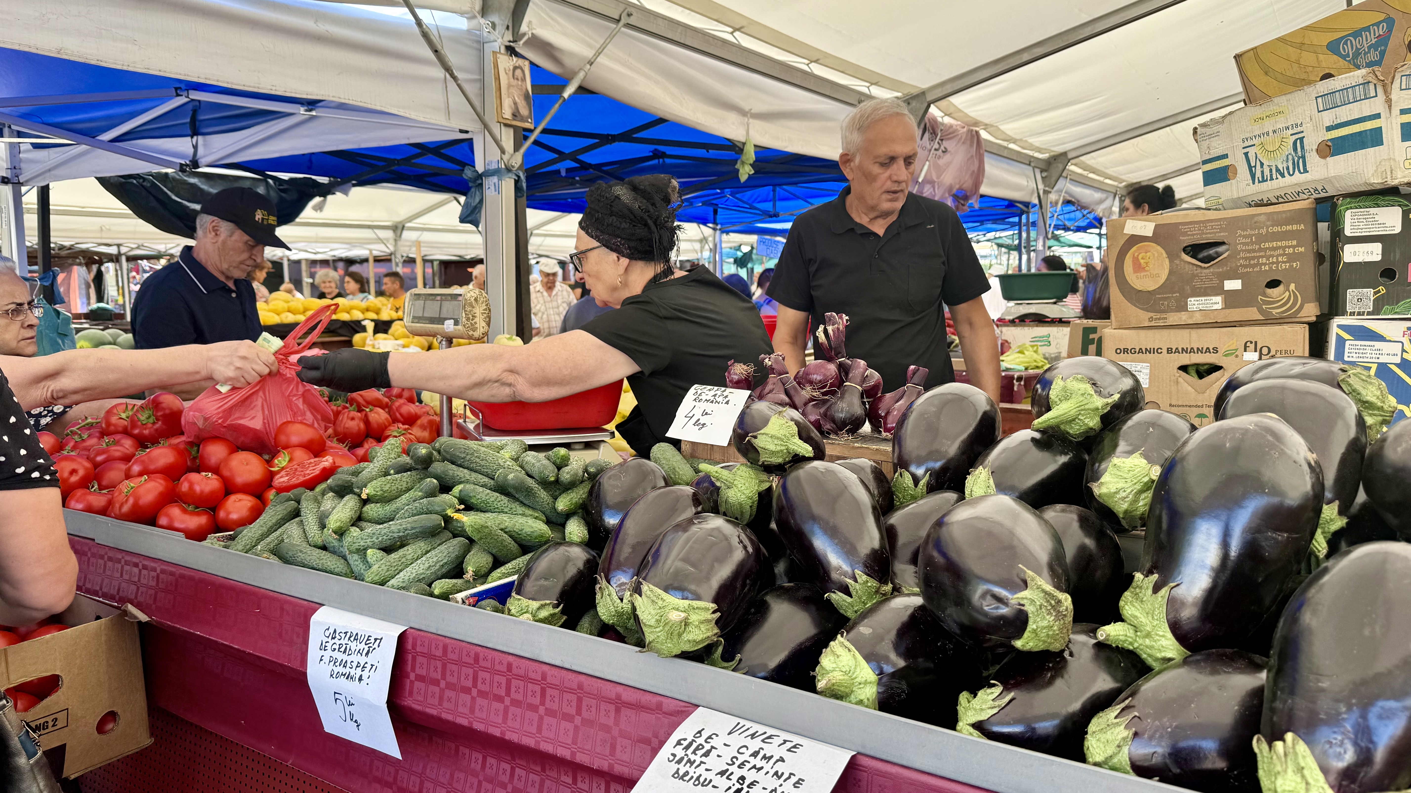 Cât costă kilogramul de vinete în piețe. Românii stau la cozi pentru salata preferată a verii