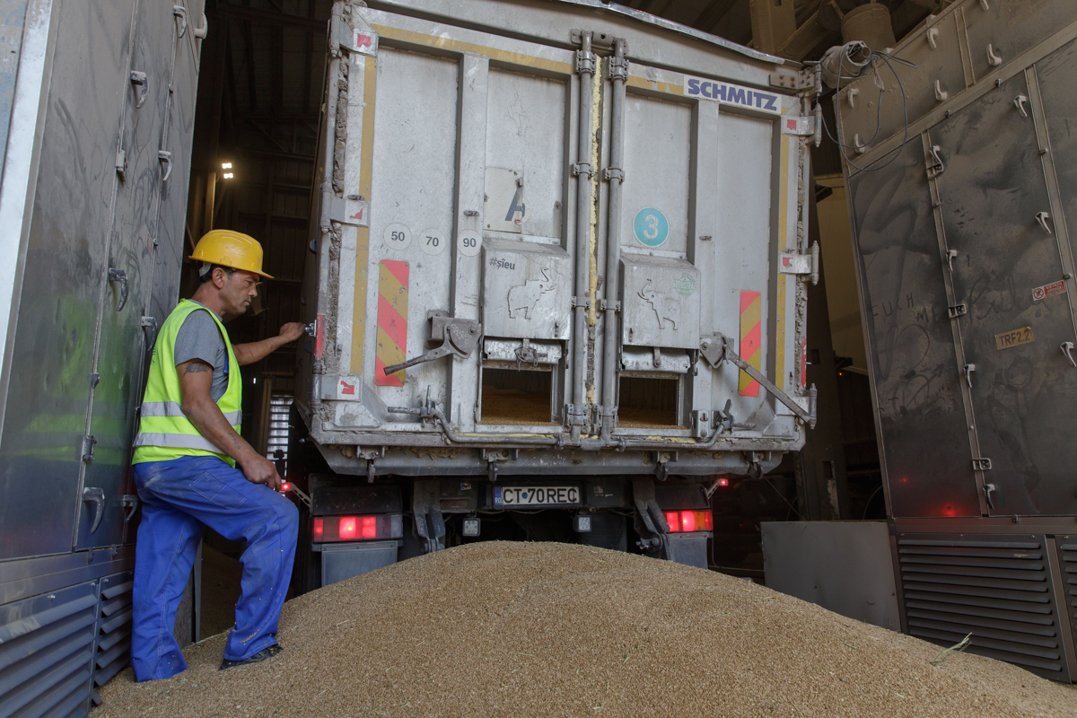 REPORTAJ de pe frontul cerealelor. Cum se exportă producția României și a Ucrainei printr-o investiție imensă
