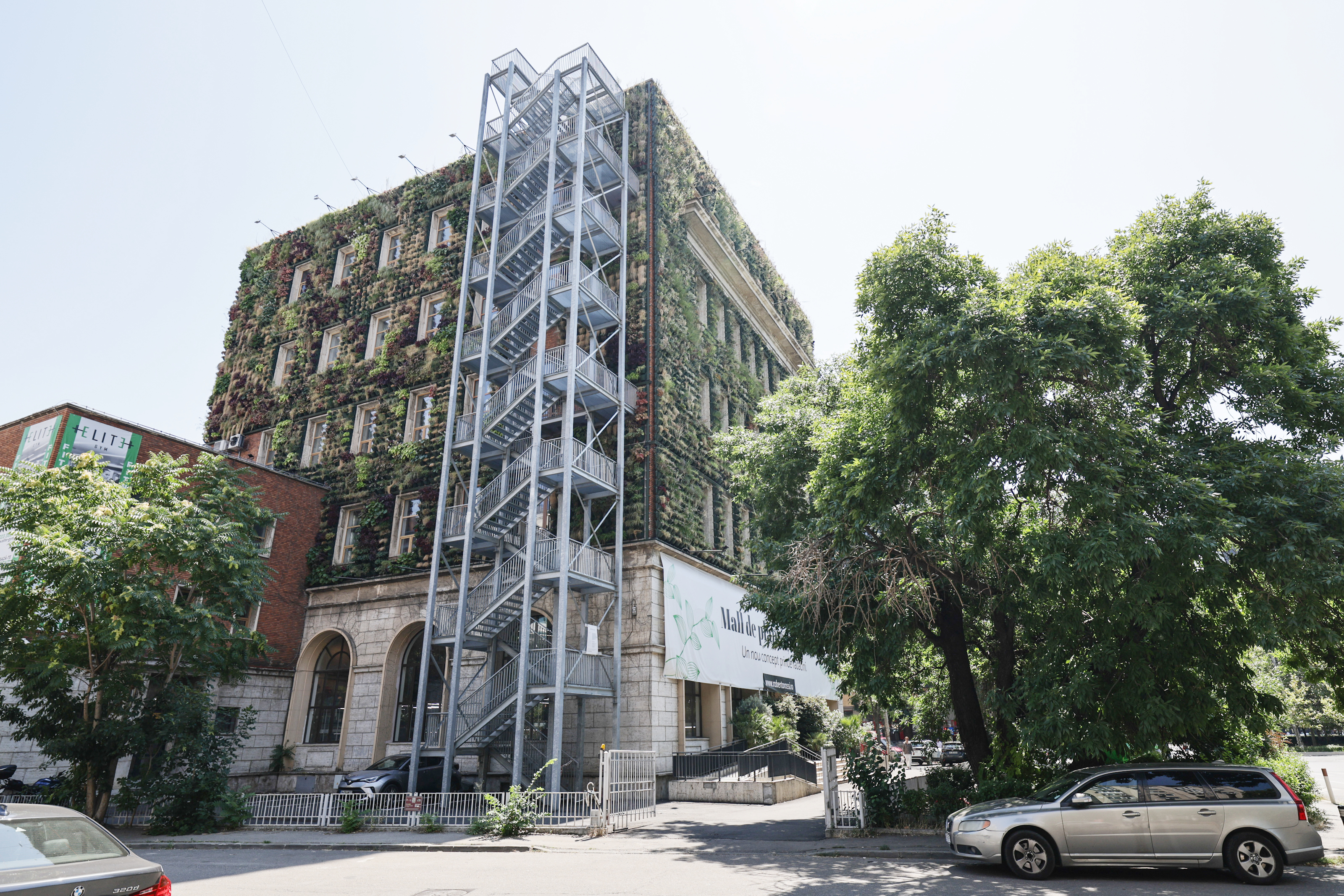 Mall-ul de plante din București are cinci niveluri cu peste 1.200 de soiuri, ghivece inteligente și un mesteacăn artificial care costă cât un apartament