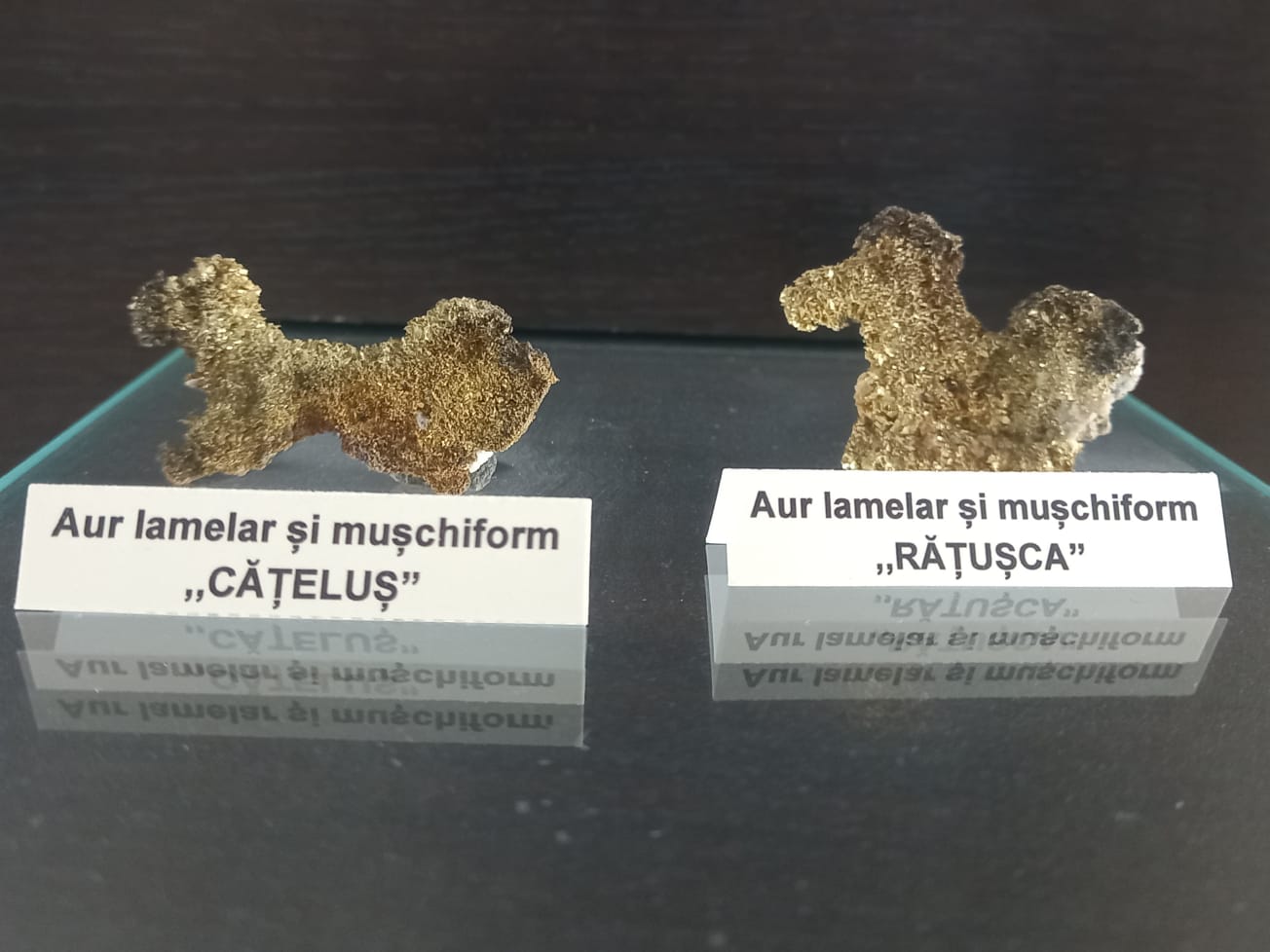 Tezaurul mai puțin știut al Apusenilor. Singurul loc din România unde se pot vedea peste 1.000 de pepite din aur nativ