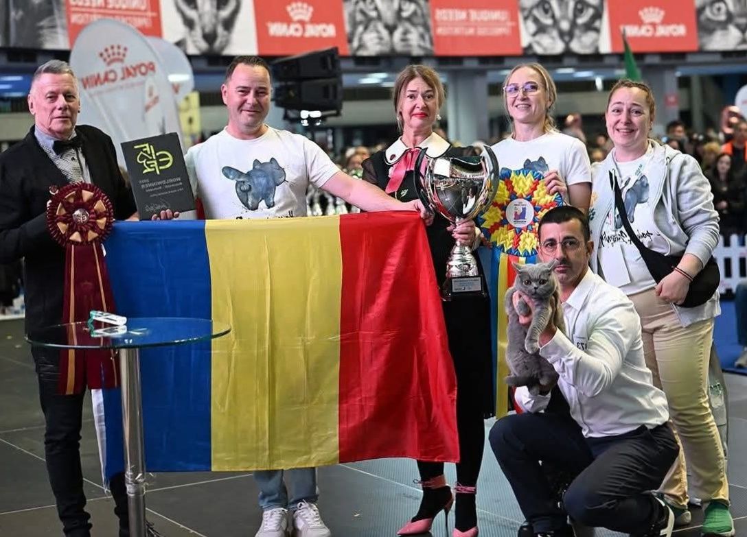 Kira Kiralina, pisica din România care a fost desemnată cea mai frumoasă din Europa. Cum arată „ursoaica din Bucovina”