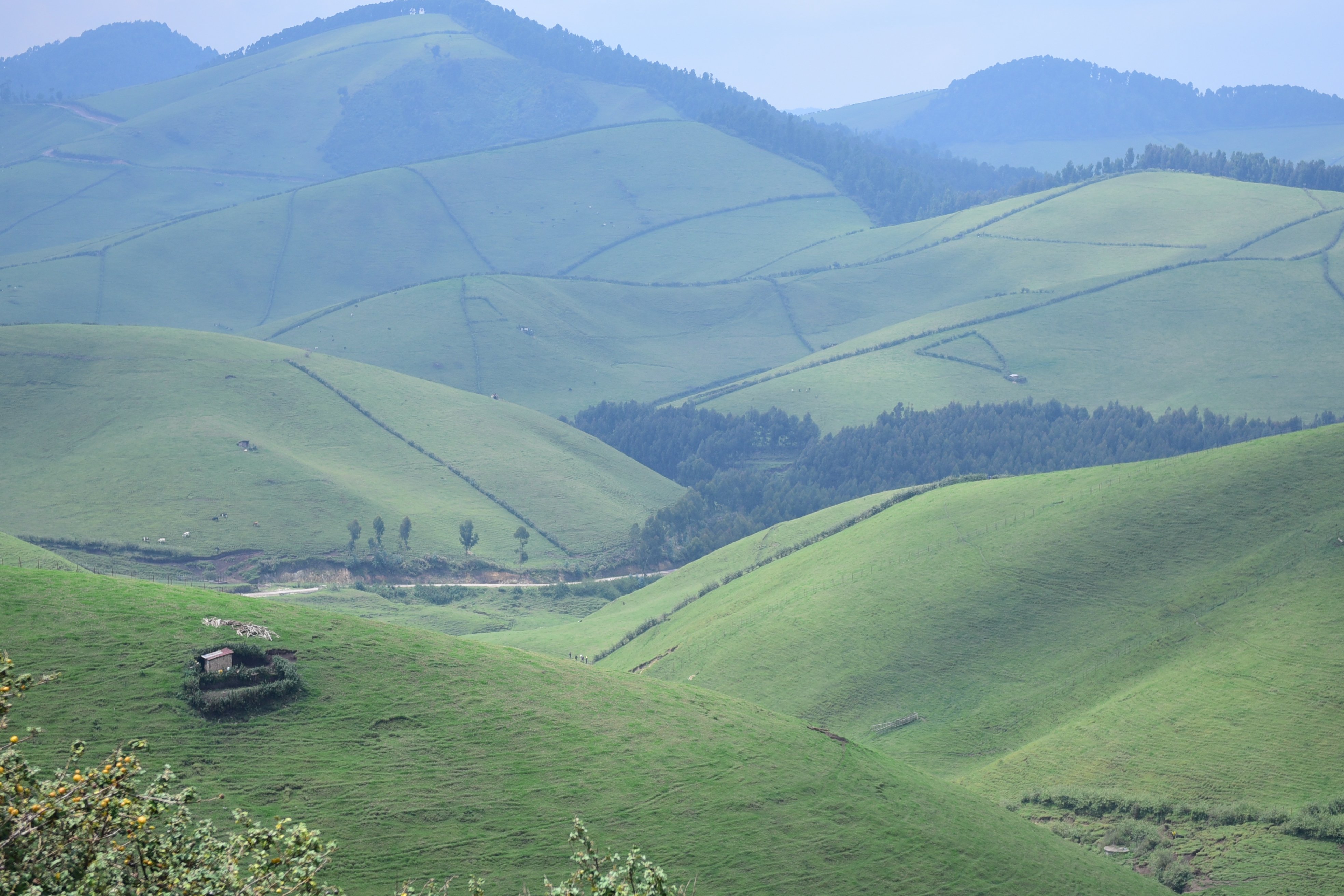 Rwanda