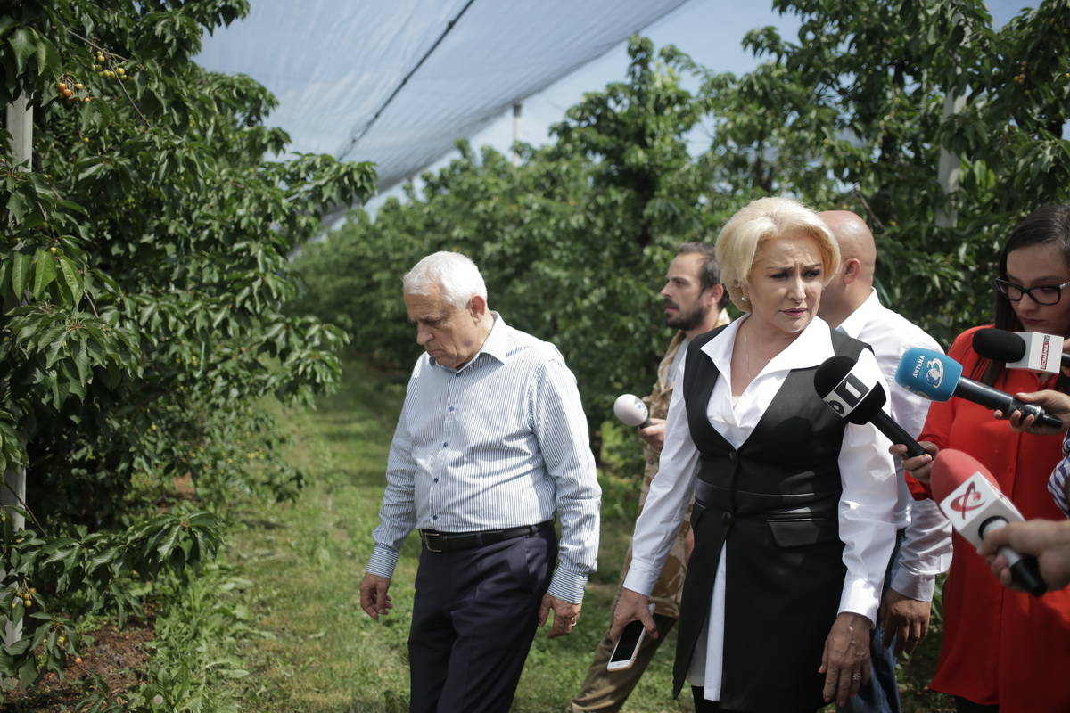 Dăncilă îi cheamă joi pe agricultori la Palatul Victoria; Premierul a vizitat o livadă de cireși și afine și o stație de irigații (FOTO)