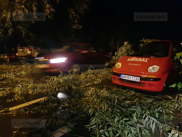 Furtună puternică în Arad. Incendiu, sute de case fără curent și mașini distruse de copaci din cauza vijeliei