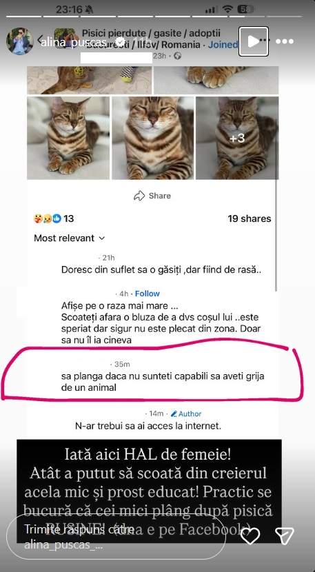 Alina Pușcaș a răbufnit după un comentariu negativ primit pe contul de socializare. „Iată aici hal de femeie. Se bucură că cei mici plâng după pisică”
