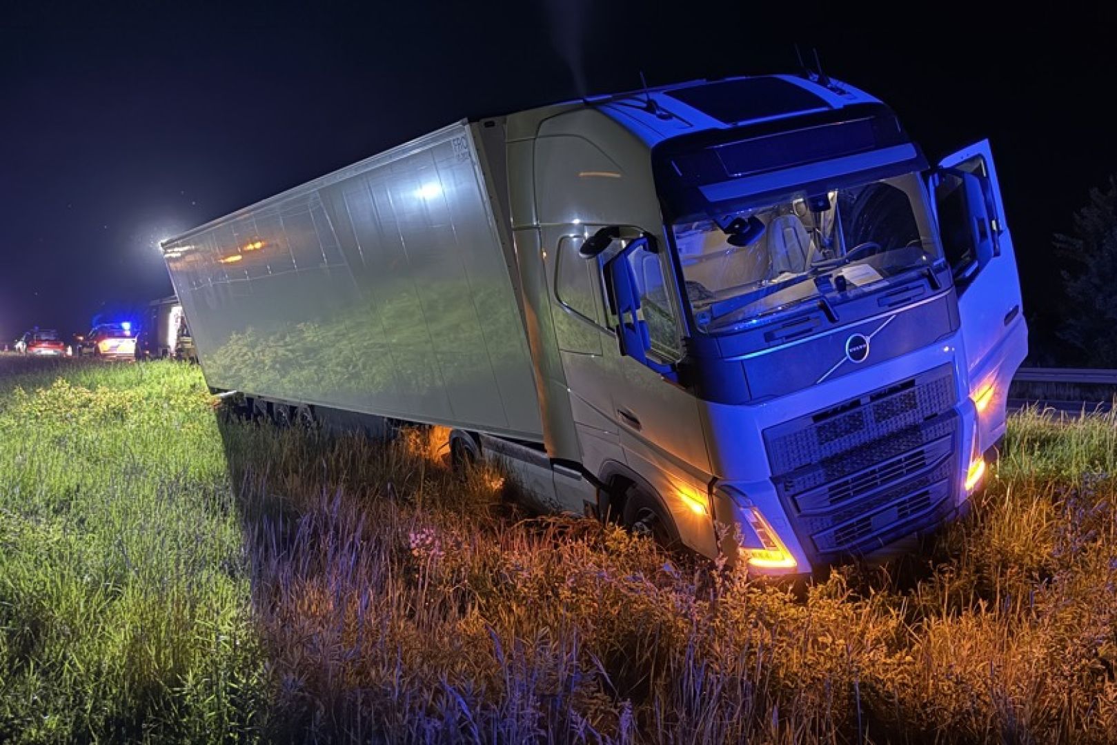 Șofer român de TIR scos de pe șosea de o turmă de căprioare, în Germania