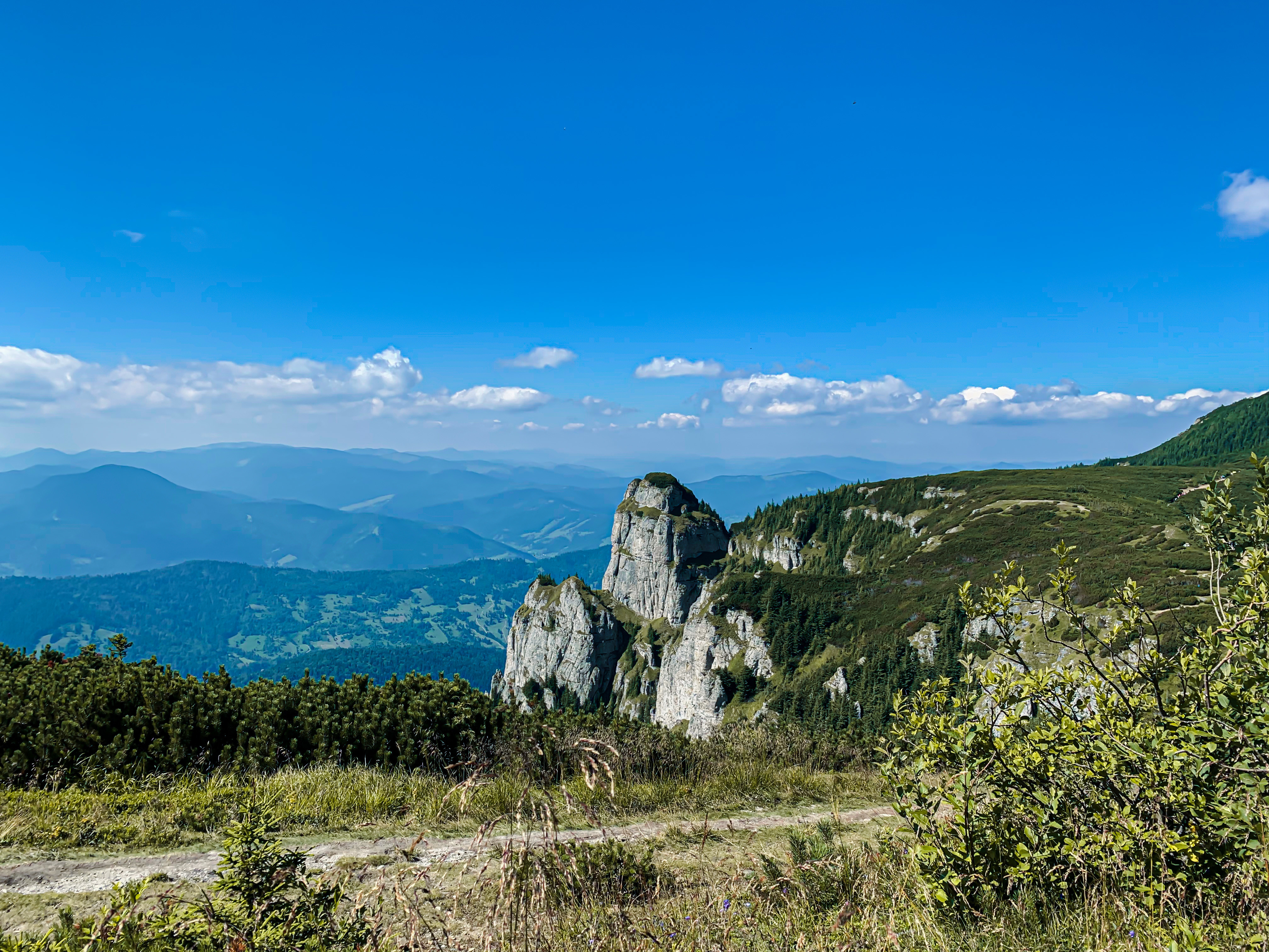 Rezervații naturale din România. Cele mai frumoase locuri pe care trebuie să le vizitezi