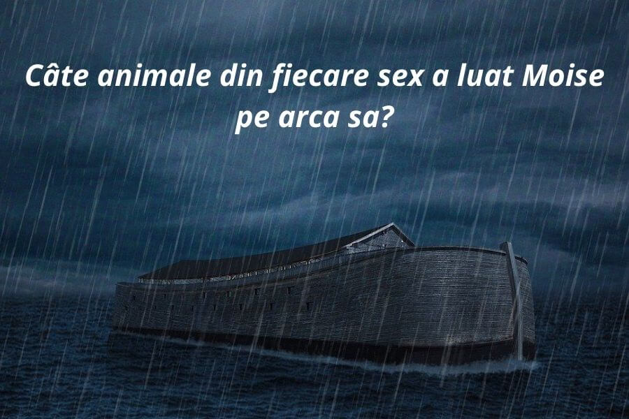 Întrebări capcană - 40 de întrebări capcană care te vor pune în dificultate