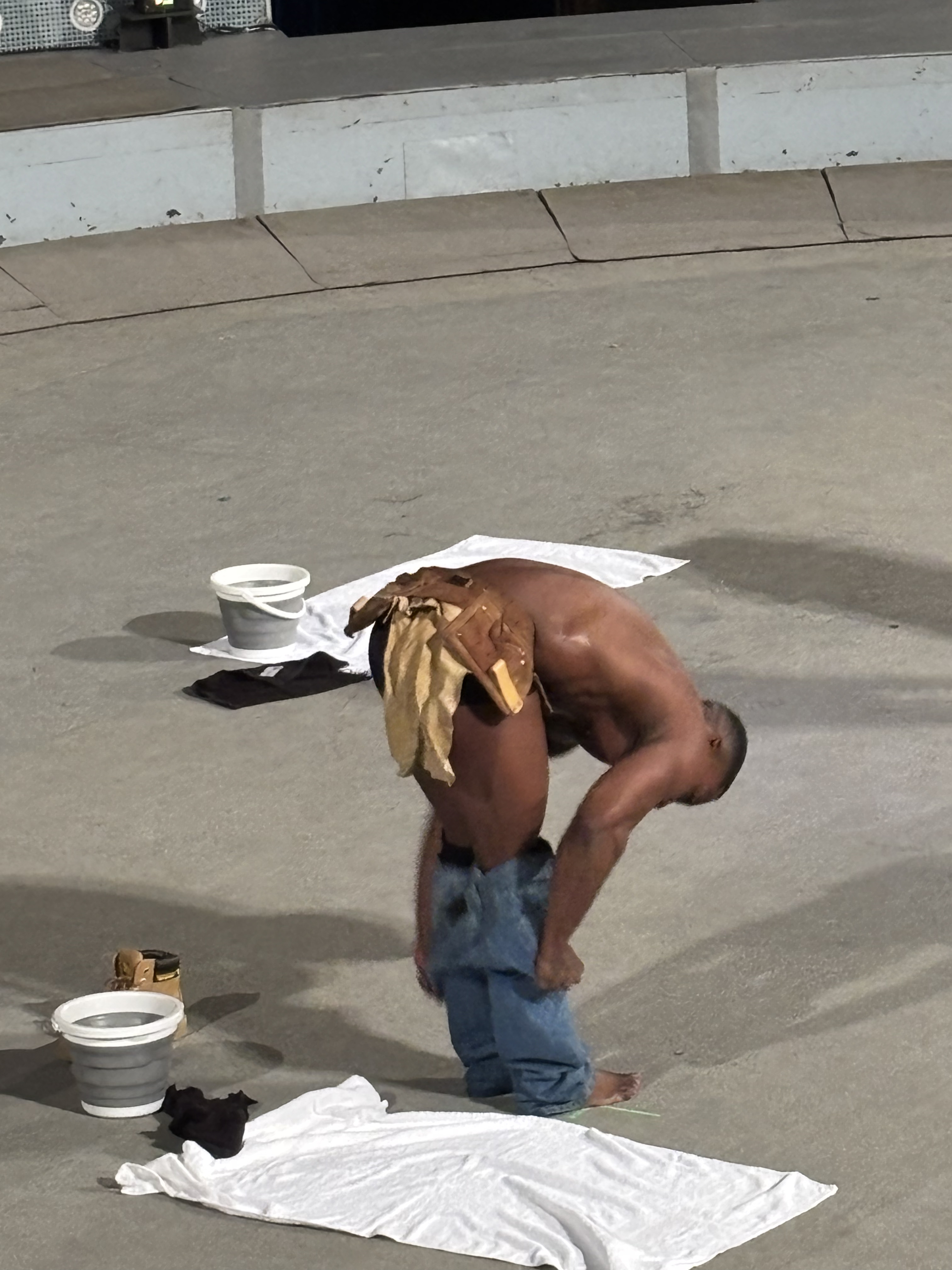 Striptease cu tricolorul la Circul de Stat din București. Preludiu, excitare, delir: „Cum e România acum?”