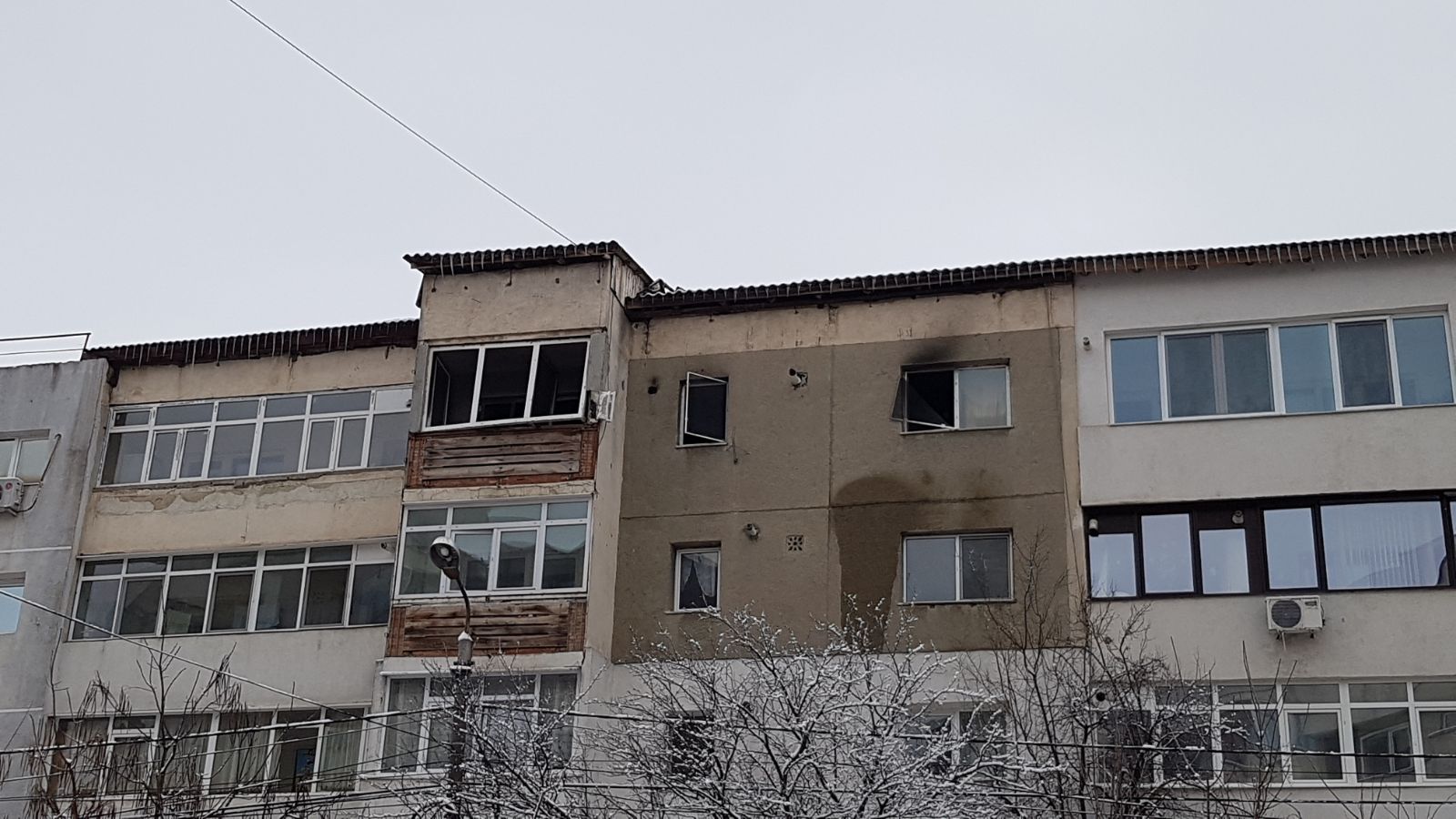 Pui de pisică salvat de pompierii din Bacău dintr-un apartament în flăcări| GALERIE FOTO