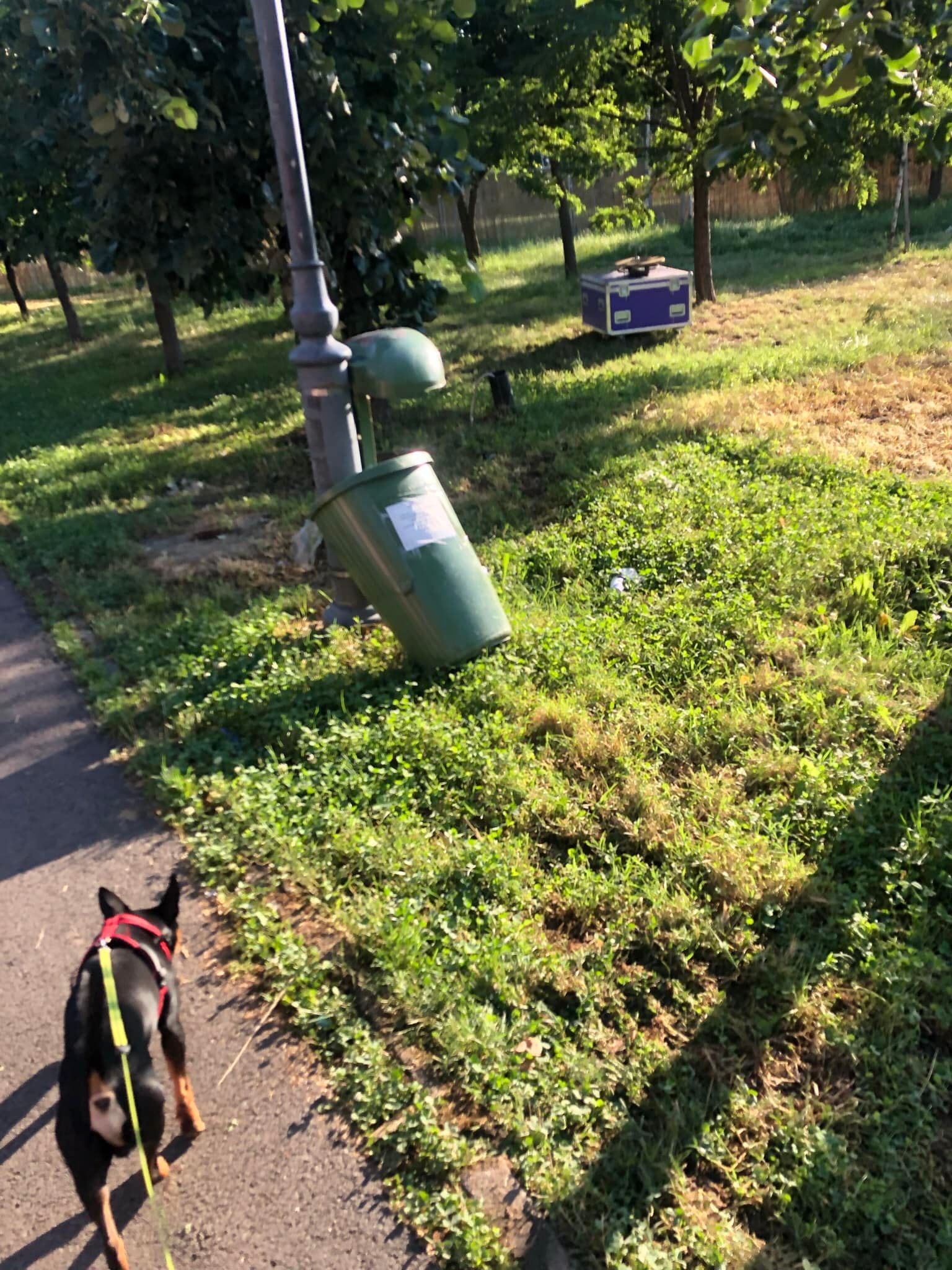 Concesionarea Parcului Izvor, între „festivalizarea orașului” și „nu-l distrugem, îl facem mai frumos”