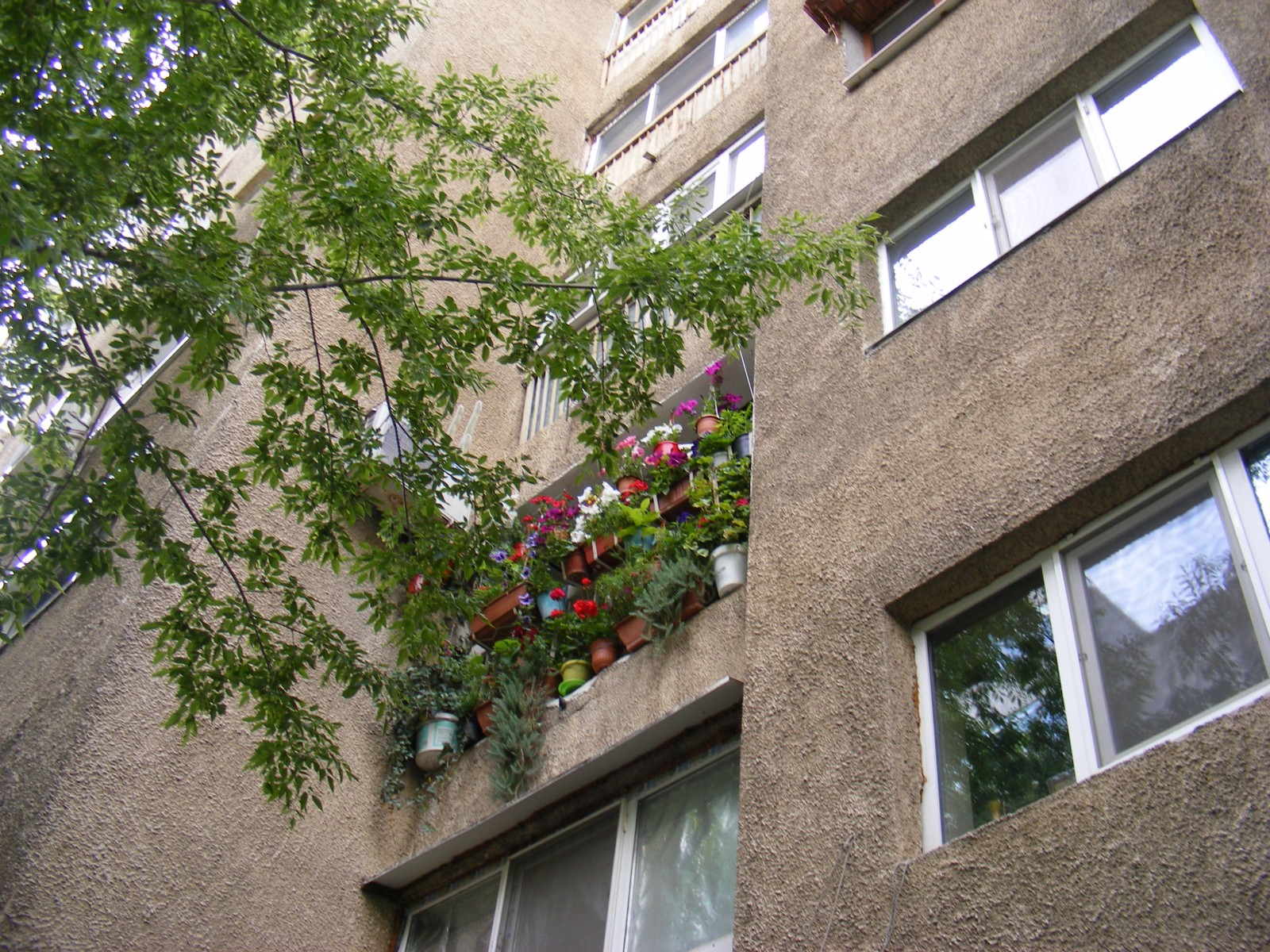 Primăria Capitalei a anunţat câştigătorii Concursului ”Cea mai frumoasă faţadă” GALERIE FOTO