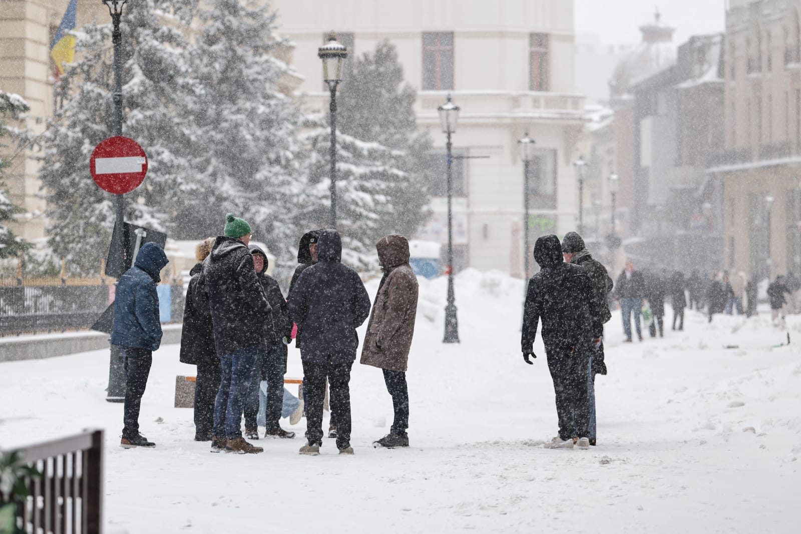 Codul galben de ninsori și viscol a făcut prăpăd în mai multe județe: copaci rupți și mașini distruse în București, drumuri închise sau restricționate în 16 județe | VIDEO