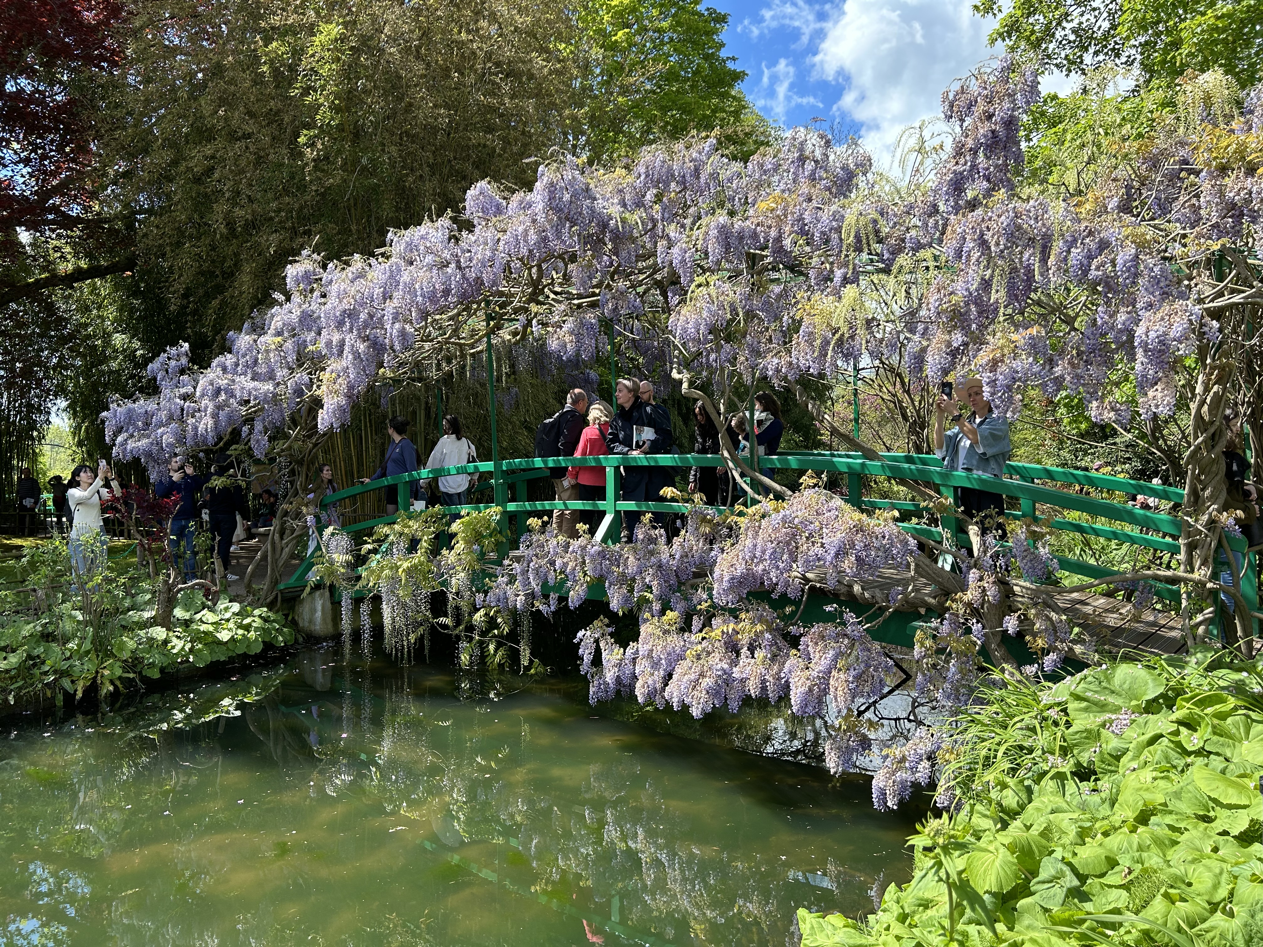 INTERVIU. Istoricul Philippe Piguet, strănepotul pictorului impresionist Claude Monet: „Frumusețea artei triumfă asupra barbariei războaielor”