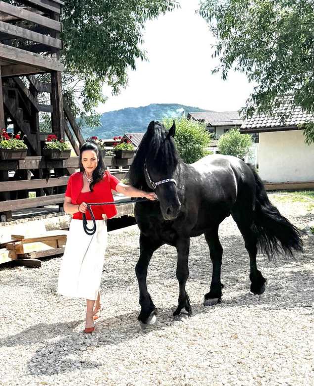 Ioana și Ilie Năstase și-au luat casă în Otopeni. „În final am găsit ceva pe placul nostru. Are curte, dar nu prea mare”