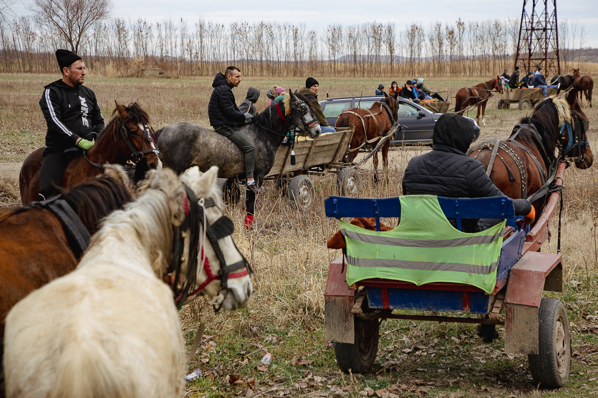 REPORTAJ Boboteaza pe malul Dunării, în comuna Ostrov: procesiune la debarcader, concurs de prins crucea și curse de cai