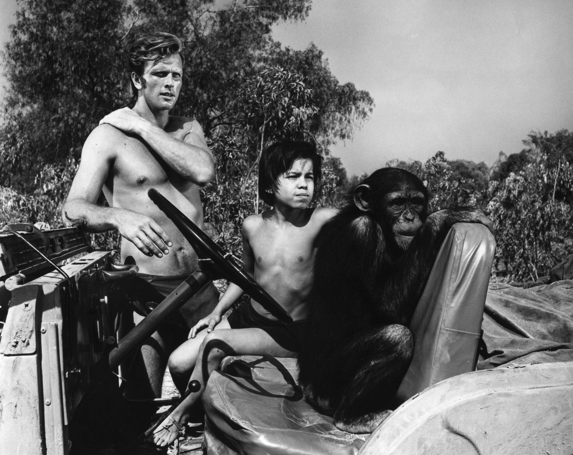 Soția actorului din Tarzan,  Ron Ely, a fost ucisă în propria casă. Suspectul, o rudă a cuplului, împușcat mortal de polițiști