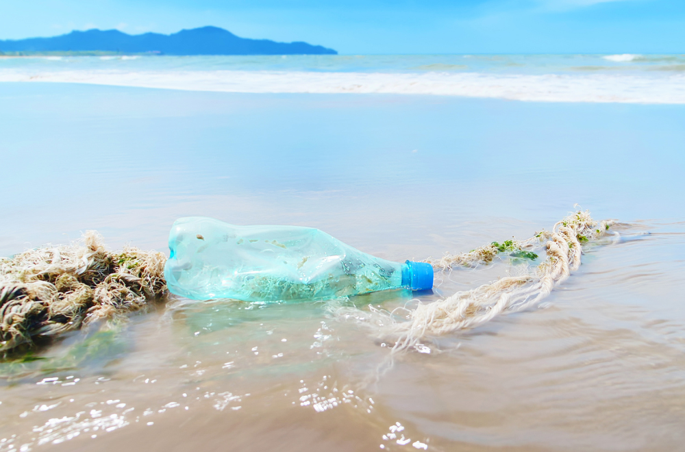 Ma ünnepeljük a Föld napját - De meddig lesz még a miénk a bolygónk?