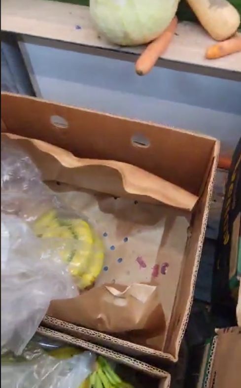 Pui de șoareci, într-o cutie cu banane la Lidl Lugoj. Reacția magazinului după filmarea cu animalele vii apărută pe internet