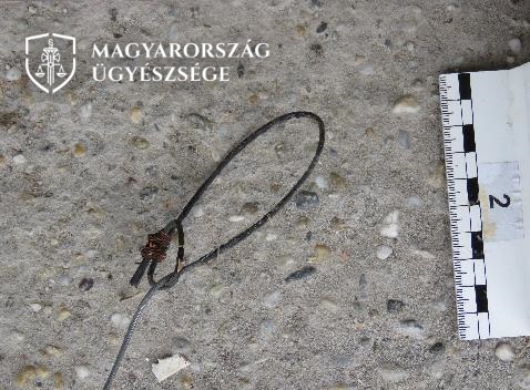 Gyilkos csapdával akarta elintézni a kutyát a férfi: vasvillával rontott rá a vonyító eb segítségére siető szomszédra