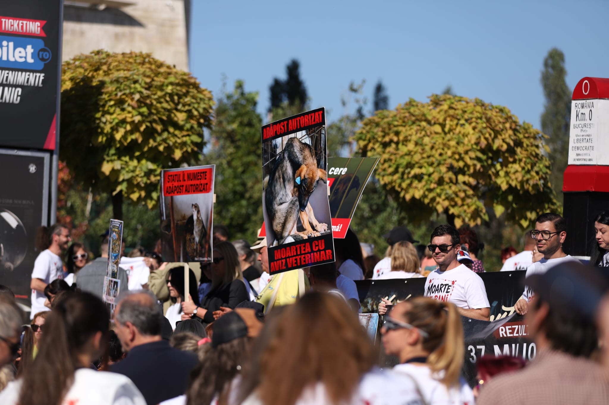 Raluca Bădulescu, prezentă la protestul pentru drepturile animalelor