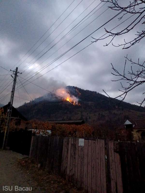 Pădurea de la Oituz arde de cinci zile. Incendiul s-a extins pe 28 de hectare