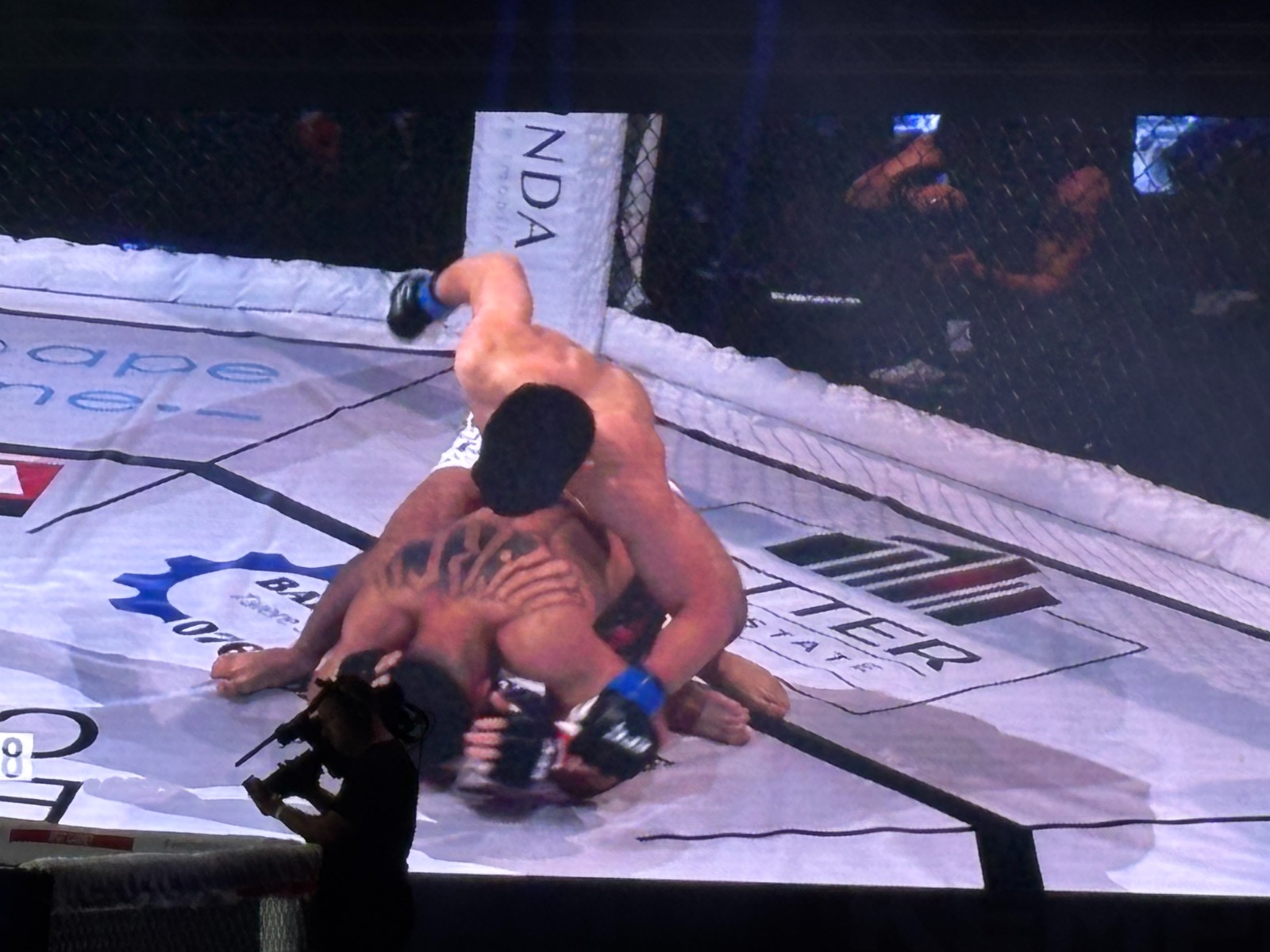 Români care simt că trăiesc prin durere: „Bă, n-o mai mermeliți! Dă-i sângele!”. Reportaj de la Box, MMA și Kempo