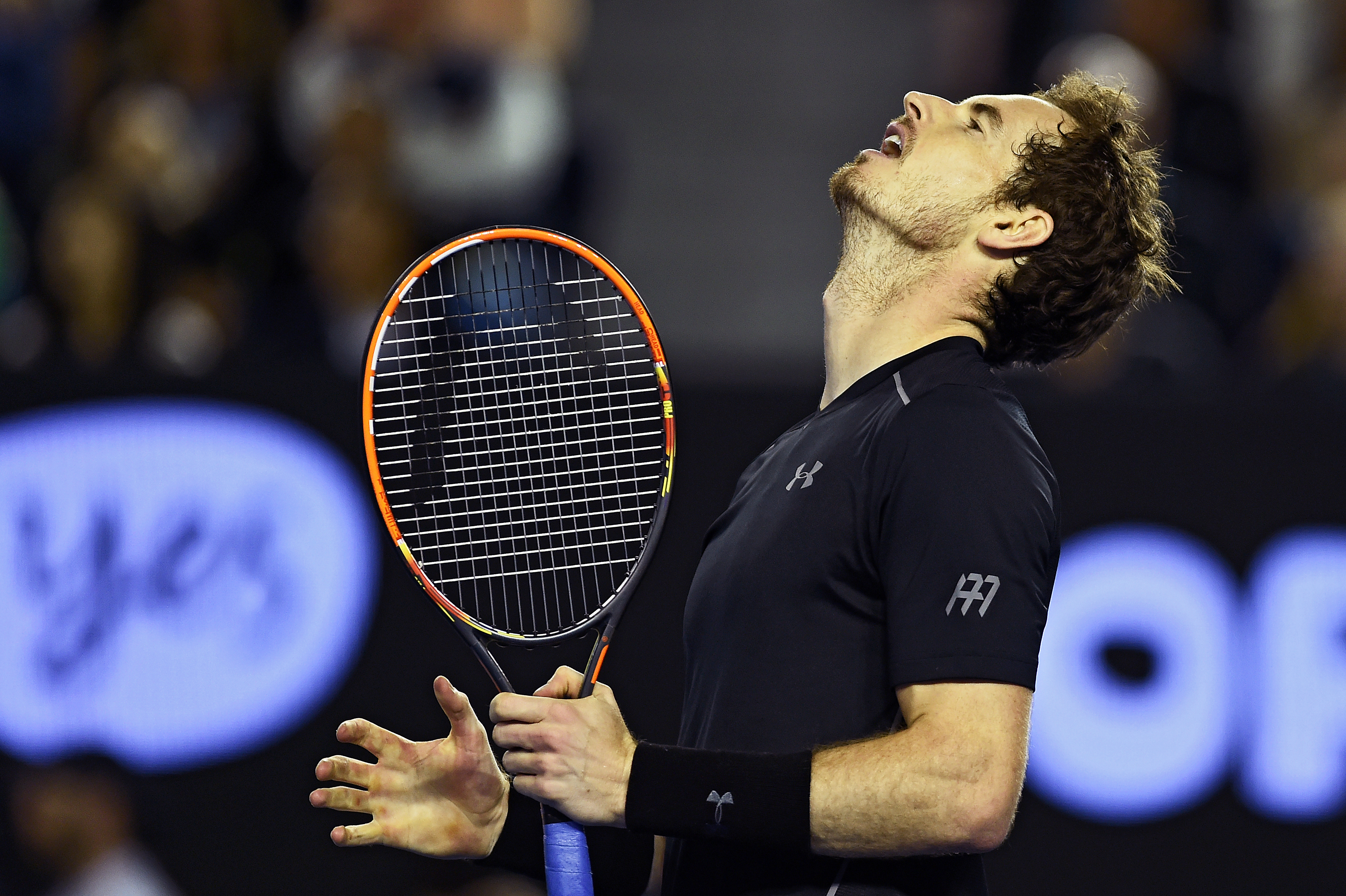 Australian Open, finala masculină. ”Dictatorul” sârb Djokovici a făcut dresaj cu ”leul” britanic Murray. ”Nole” a triumfat pentru a șasea oară la Melbourne/ FOTO