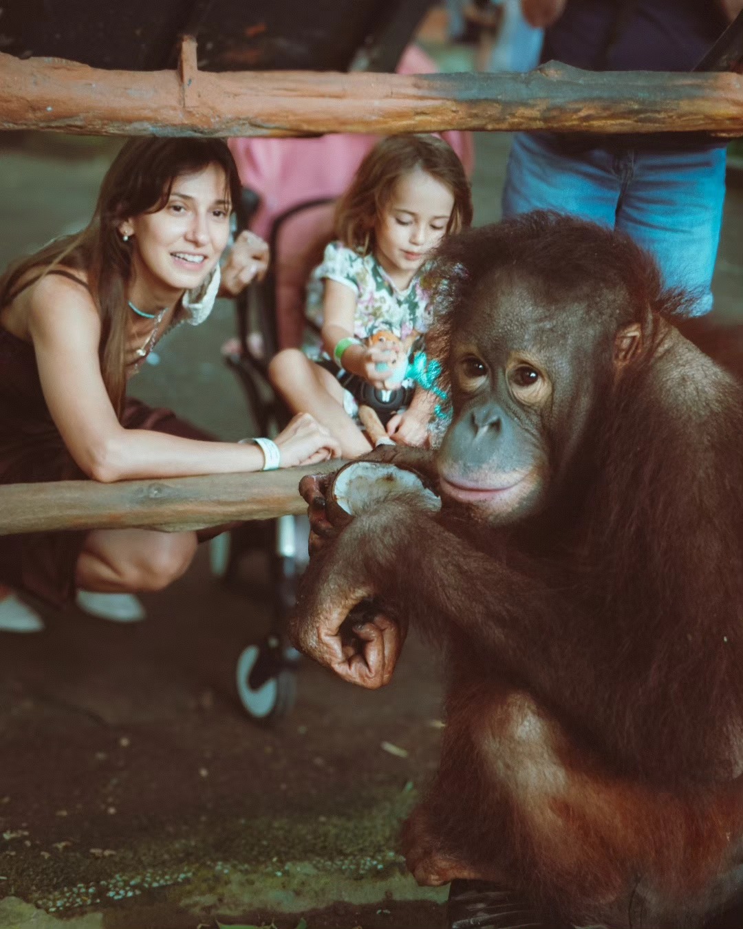 Copiii Danei Rogoz au hrănit peștii cu biberonul, în Bali: „A fost foarte drăguț”. Imagini din vacanța vedetei cu familia