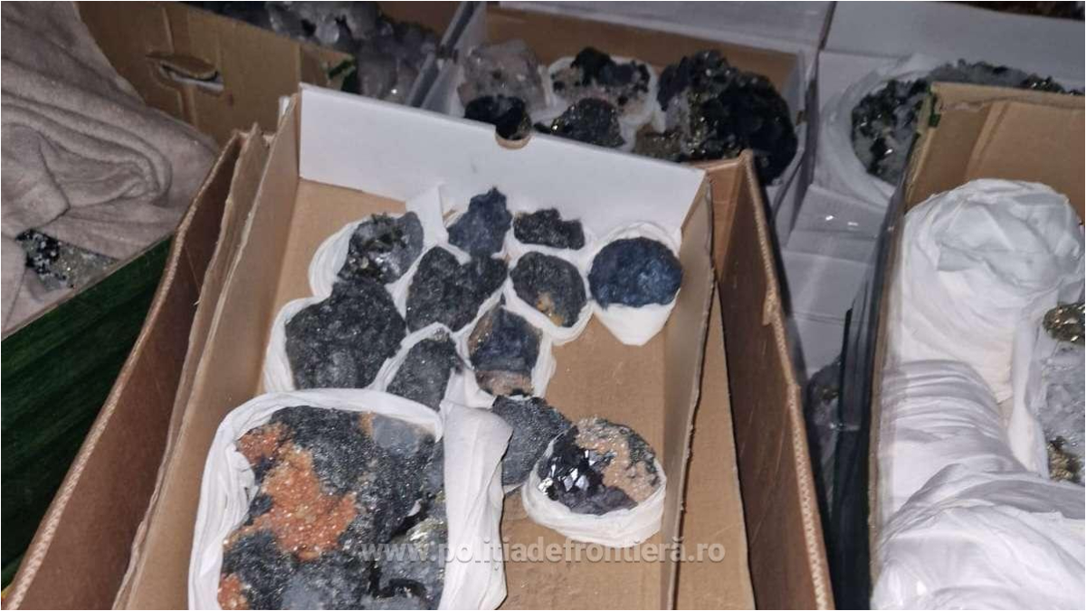 Flori de mină în valoare de peste 20.000 de euro, confiscate la granița cu Ungaria