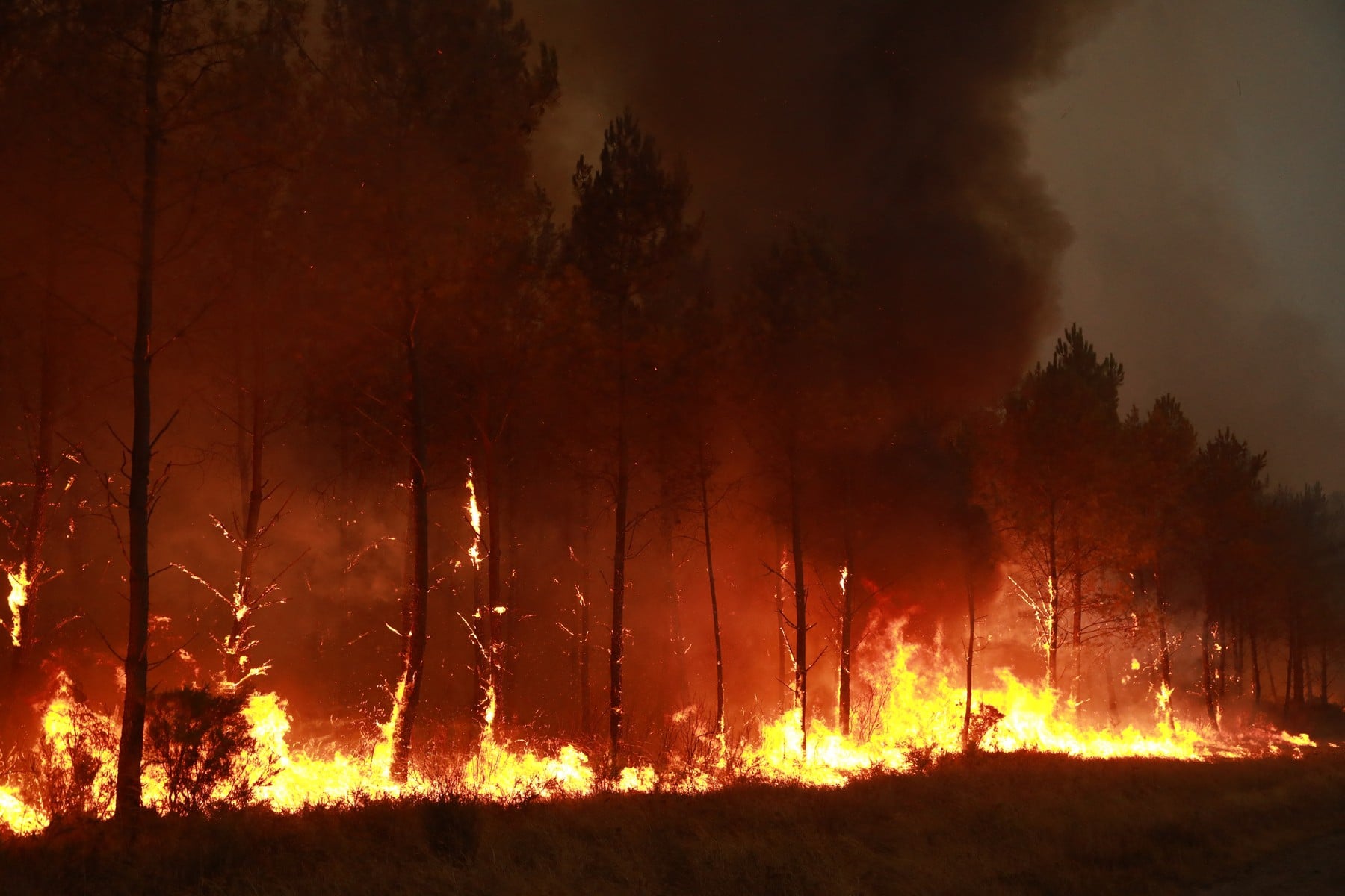 Pompierii români se luptă cu incendiile din Franța. Emmanuel Macron a mulțumit României pentru sprijinul acordat