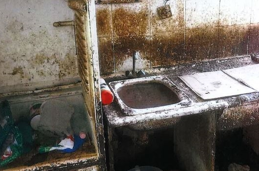 Szörnyű körülmények: 26 macskával élt együtt egy pécsi panelban az állatkínzó nő: 11 állat el is pusztult – sokkoló fotók