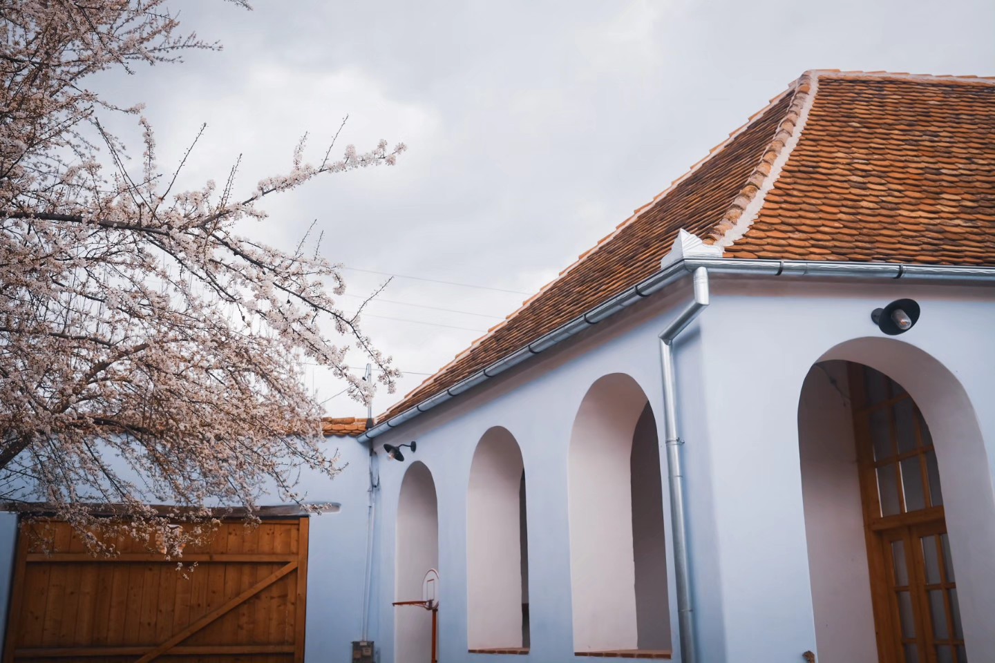 Noi imagini cu casa de la Viscri a Danei Rogoz. Cum a amenajat interiorul. „Duminică seara am ajuns. Renovarea continuă în curte”