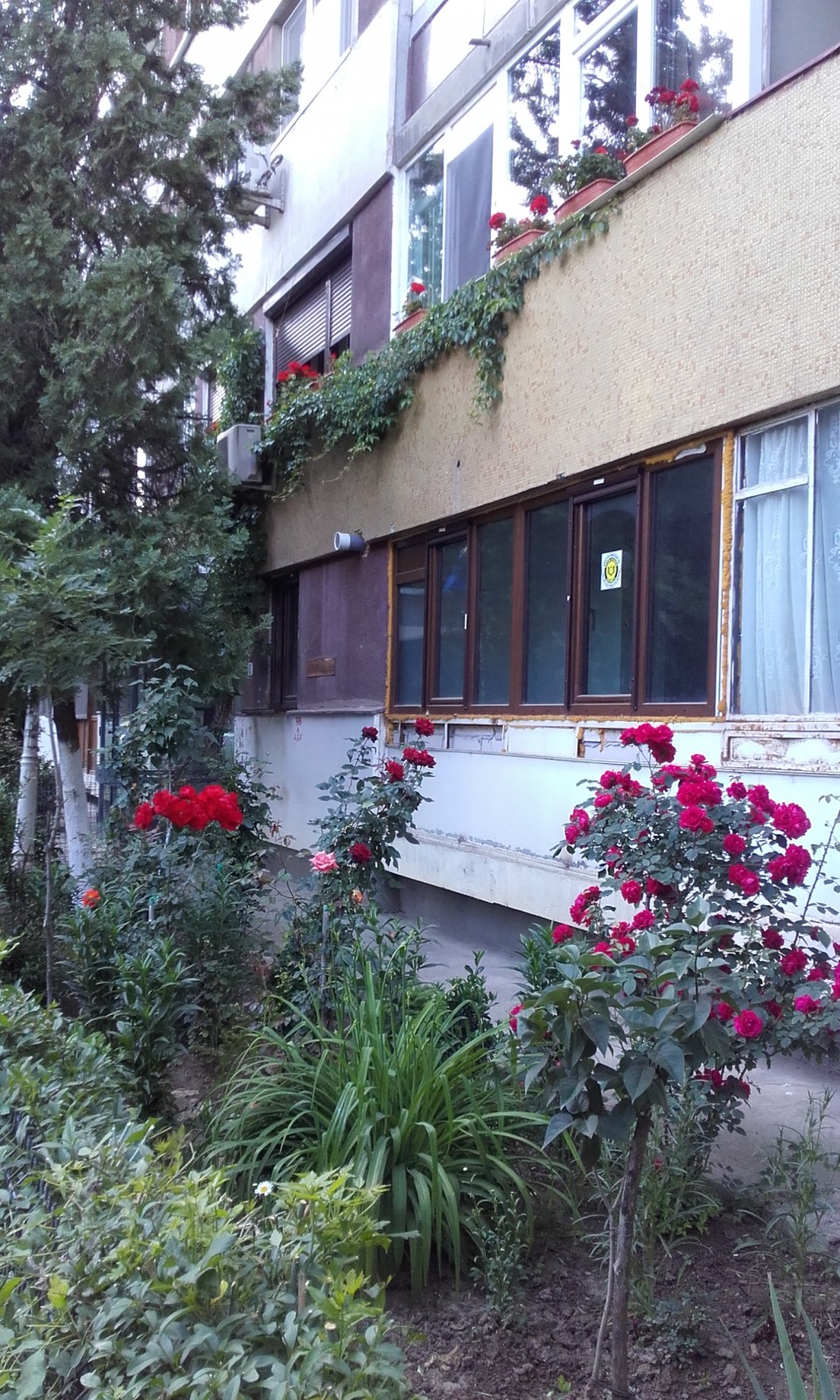 Primăria Capitalei a anunţat câştigătorii Concursului ”Cea mai frumoasă faţadă” GALERIE FOTO