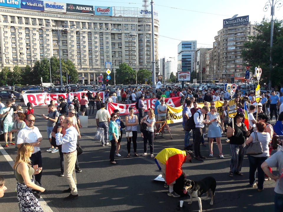UPDATE. Protest în Piața Victoriei față de adoptarea CPP. Oameni amendați și îmbrânceli cu jandarmii (Foto&Video)