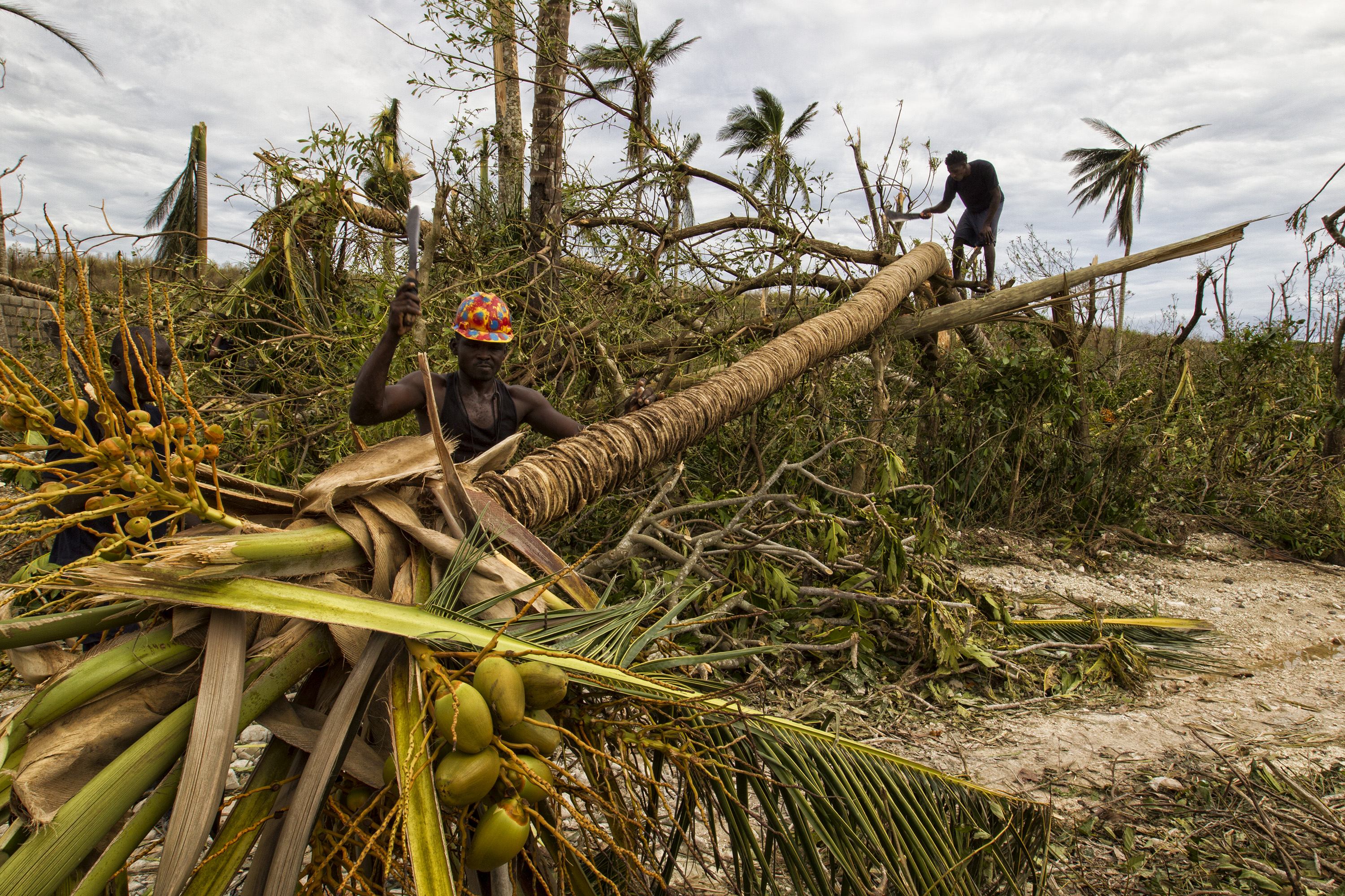 Imagini devastatoare din Haiti! Amploarea dezastrului a fost filmată cu o dronă | VIDEO & FOTO