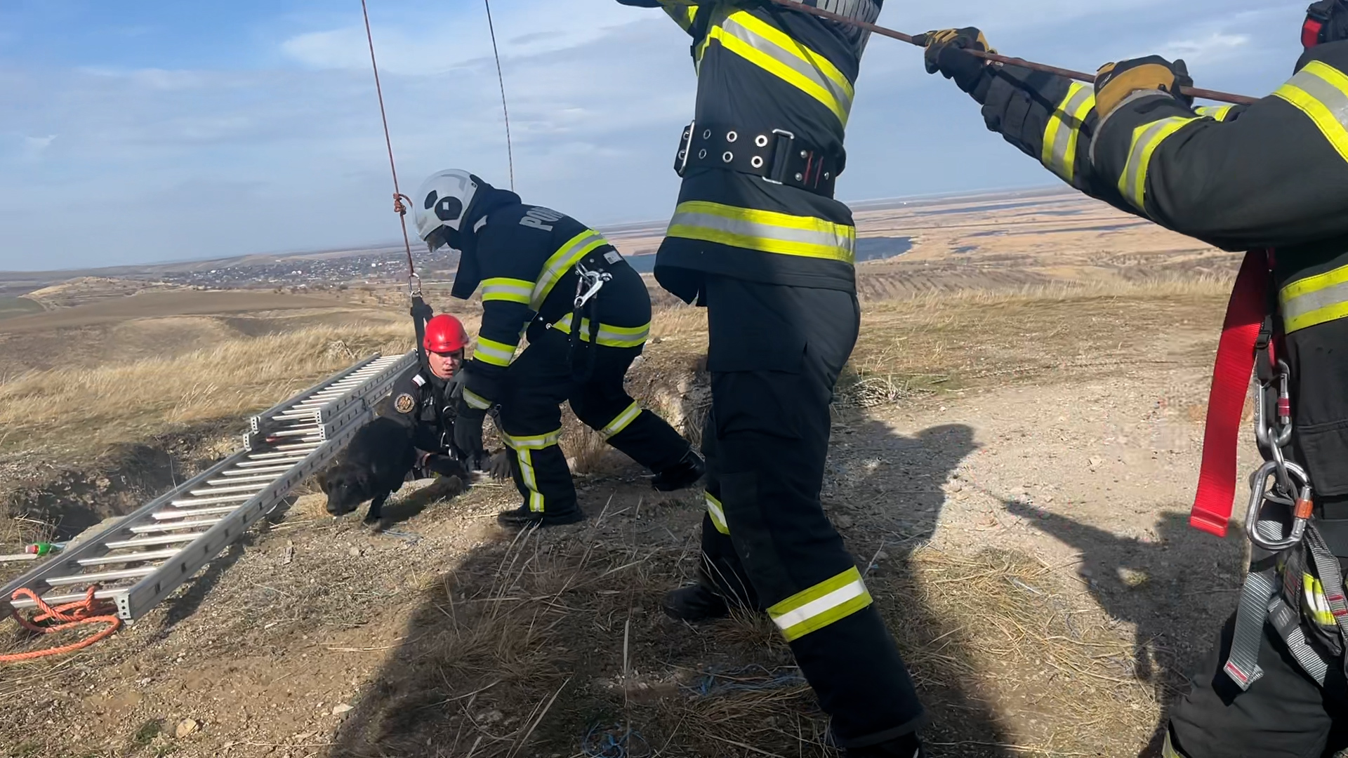 Un câine căzut într-o groapă de 30 de metri a fost salvat după trei zile de pompierii din Tulcea. VIDEO
