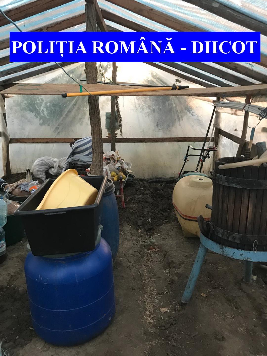 Doi bărbaţi din județul Galați care au forţat cinci persoane să muncească la o stână au fost reţinuţi| FOTO