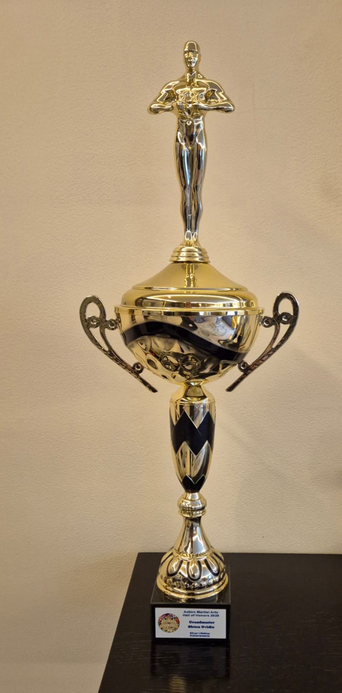 Bărbat din Suceava, premiat cu Oscarul artelor marțiale, în SUA. „E un sentiment deosebit”