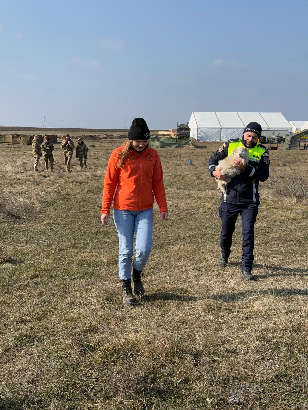 În Galați, un soldat britanic a salvat patru căței aflați în zona tragerilor. „Fiecare viață contează”