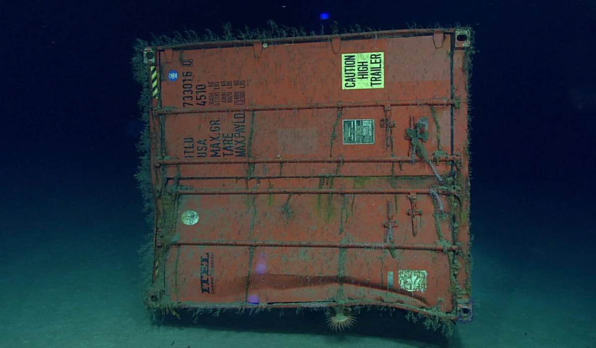 Căutau o epavă, dar au găsit un „cimitir”. Ce au descoperit cercetătorii la 1.500 de metri, pe fundul Oceanului Atlantic: „Este puțin suprarealist”