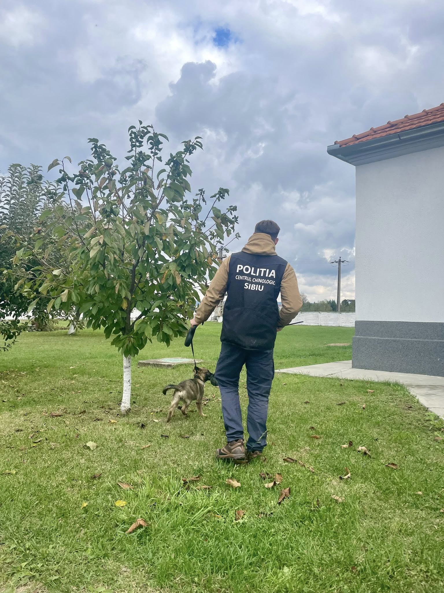 Locuitori din Sibiu cer închiderea centrului care dresează câini pentru Poliție, Jandarmerie, SRI și SPP. Proces pentru zgomotul produs noaptea de animale