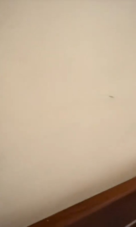 Imagini cu locul în care Irina Fodor a fost cazată la Asia Express. Camera de hotel avea mucegai pe pereți: „Miroase a șosete murdare”