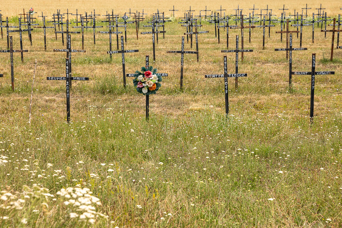 Cimitirul cu necunoscuți din Dumbrava. Viorel Pașca: „Toată lumea, indiferent de religie, are cruce la fel. Ca să nu se supere niciunul”