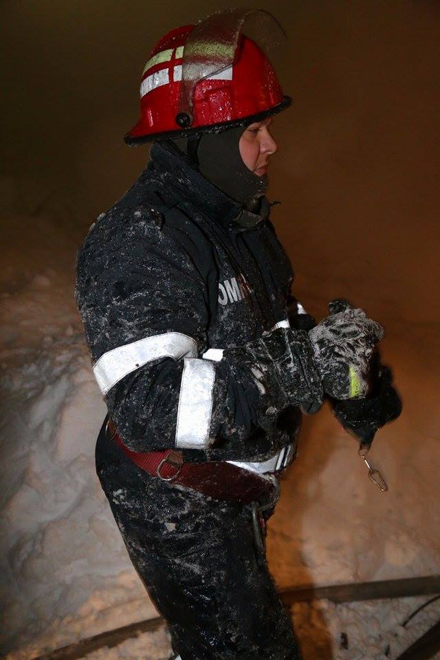 UPDATE | Incendiu la Circul Globus. 11 animale, printre care doi tigri, au pierit în flăcări. Ce spun anchetatorii / VIDEO&FOTO